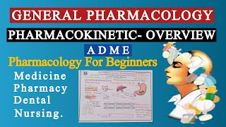 General Pharmacology  Pharmacokinetics overview ADME For Medicine Pharmacy Nursing Students [upl. by Rhodes]