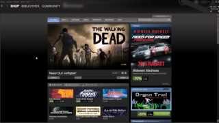 Bei Steam mit Paysafecard einkaufen [upl. by Anelle263]