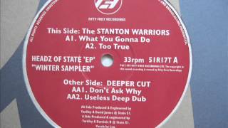 Stanton Warriors  Too True  oldskool speed garage [upl. by Emearg]