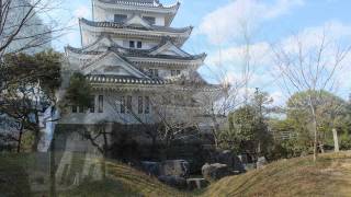 城めぐり、徳島県阿波川島、川島城 [upl. by Resee]