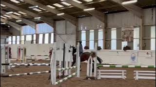 Shadow SJ pairs Romney Marsh Pony Club [upl. by Collar]