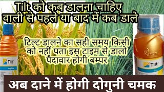 धान में टिल्ट का प्रयोग कब करेंpropiconazole 25 ECTILT paddyfarming [upl. by Suivatnod]