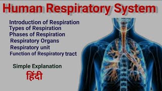 Human Respiratory System  Anatomy amp Physiology in hindi  Structure  Organ  Function [upl. by Nediarb]