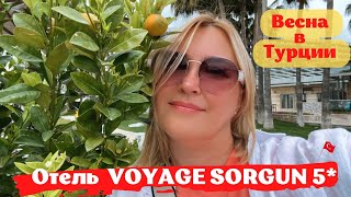 VOYAGE SORGUN 5 Сиде Отель для привилегированного отдыха Потрясающая природа Весна в Турции [upl. by Hollyanne508]