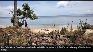 For sale White sand Beachfront farm land of 4 Hectares for only php 200sqm so hurry [upl. by Briny]