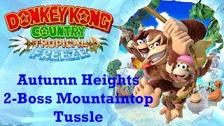 Donkey Kong Country Tropical Freeze Autumn Height 2 Boss Mountaintop Tussle [upl. by Mickie291]