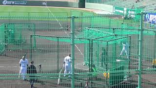 【プロ野球】2024210 オリックス 春季キャンプ 『Ａグループ バッティング②（トーマス選手、セデーニョ選手、西川選手、頓宮選手）』 [upl. by Bonita]