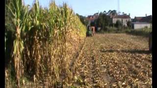 DEUTZ AGROPLUS E MENGELE 220wmv [upl. by Ydahs]