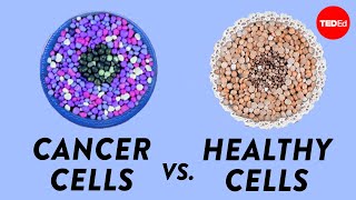 How do cancer cells behave differently from healthy ones  George Zaidan [upl. by Charity]