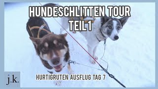 Hurtigruten Ausflug  Kirkenes Schneehotel Husky Schlittenfahrt 1  7F [upl. by Mungam]