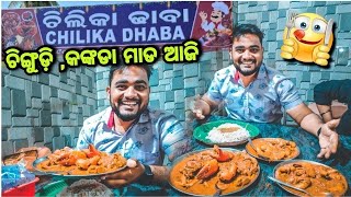 ଆଜି CHILIKA DHABA ରେ ଚିଙ୍ଗୁଡ଼ି କଙ୍କଡା ମାଡ ହେଲା 😱😱 CHILIKA LAKEPANTHANIVAS Odia Vlog Berhampur [upl. by Madai]