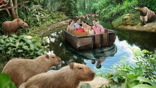 Amazon River Quest Boat Ride in 2 mins [upl. by Boutis]