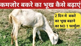 कमजोर बकरे का भूख बढ़ाने का NO 1 फार्मूला  Bakre ki bhook badhane ki dawa weak goat appetite [upl. by Dnalon]