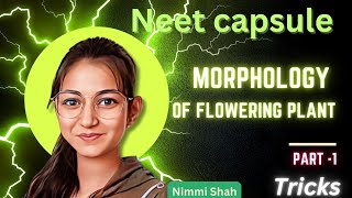 Morphology of flowering plants 🔥  deep explanation of every line  neet 2025 [upl. by Altman541]