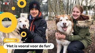 Luke en Iris kunnen racen met honden [upl. by Gnouhp951]