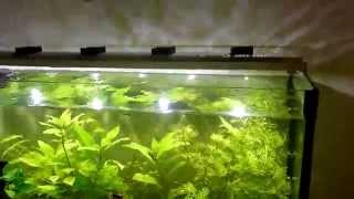 2 mesi dopo tutorial plafoniera led acquario [upl. by Dragone]