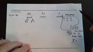 Punnett Practice 5 XLinked Traits [upl. by Honeywell]