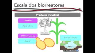 Biorreatores e bioprocessos [upl. by Arimaj918]