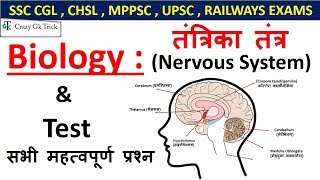 Gk  Nervous System  तंत्रिका तंत्र  For SSC CGL  CHSL  UPSC  RAILWAYS EXAMS [upl. by Arlette]