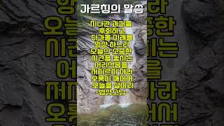 주옥같은 가르침의말씀 대전삼보사 법상스님 [upl. by Annodas]