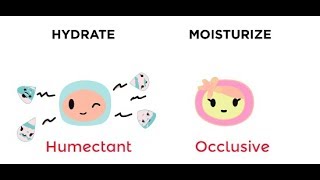 Natural Humectants and Occlusives Can Preserve and Retain your Skins MoistureNatural Skin Moisture [upl. by Eentirb]