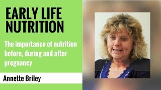 Early life nutrition The importance of nutrition before during and after pregnancy [upl. by Hakim]