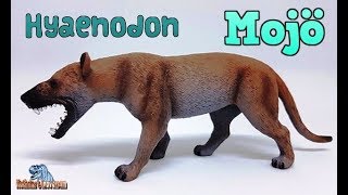 MOJÖ  Hyaenodon  Review 7 german [upl. by Nairehs]