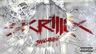 Skrillex Bangarang FULL Album [upl. by Dnomed]