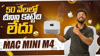 Watch This Before Buying Mac Mini M4 2024 [upl. by Lhary405]