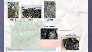 Types of Coal [upl. by Fancie]