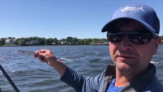 Fluke Fishing  Catch amp Cook Navesink River [upl. by Kingston429]