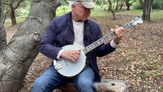 Music quotBanjo finaleThe Great Rememberquot ‖ Steve Martin 20200428 [upl. by Nagaet115]