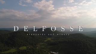 Delfosse Vineyard and Winery [upl. by Muirhead]