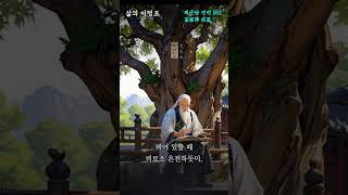 채근담인생명언삶의 조언 채근담63 [upl. by Micky]