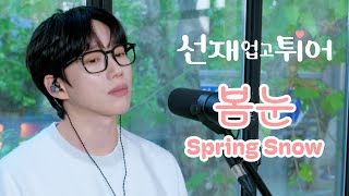 10CM  십센치  선재 업고 튀어 OST 봄 눈  Spring Snow [upl. by Aizatsana]