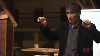 Brain Development amp Addiction with Gabor Mate [upl. by Ateuqirne712]