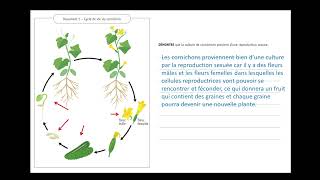 CE1D Sciences 2022  question 13 [upl. by Kennedy]