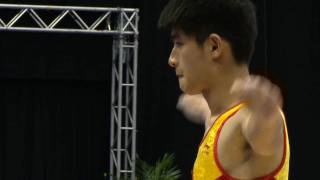 WC BIRMINGHAM 2011  YANG Song CHN [upl. by Hgielsel]