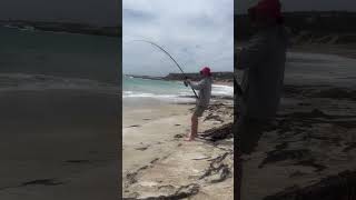 Beach fishing in southaustralia explore [upl. by Shay]