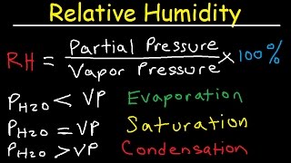 Relative Humidity  Dew Point Vapor amp Partial Pressure Evaporation Condensation  Physics [upl. by Bee33]