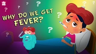 Why Do We Get a Fever  The Dr Binocs Show  Best Learning Videos For Kids  Peekaboo Kidz [upl. by Yseult167]