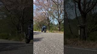 SUZUKIgixxer sf 250マットステラブルー【ジクサーsf250】 [upl. by Neersan]