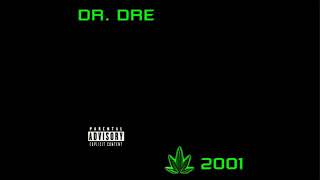 Dr Dre Ft Snoop DoggThe Next Episode Audio [upl. by Reo896]