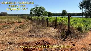 FAZENDA NO TOCANTINS BEIRA LAGO 65 ALQUEIRES 63984111737 [upl. by Hirai]