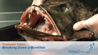 Breaking Down a Monkfish [upl. by Olivann]