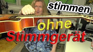 Gitarre ohne Stimmgerät stimmen Kein Problem [upl. by Claudette]