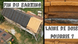 64G Fin du Sarking de la laine de bois pourrie  😱 [upl. by Malchy]