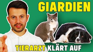 Giardien bei Hund und Katze  Was tun bei Giardiose [upl. by Llehcim]