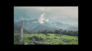 Malaysia TVC  South Asia Ecotourism [upl. by Alim]