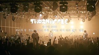 쏜애플THORNAPPLE  파리의 왕  한낮  수성의 하루  매미는 비가 와도 운다  멸종 불구경 2023 Live ver [upl. by Anitac]